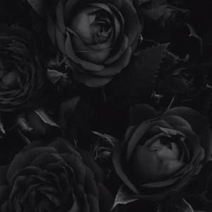 Meet your Posher, Destiny